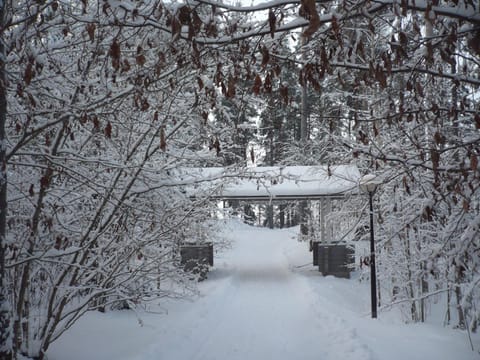 Natural landscape, Winter