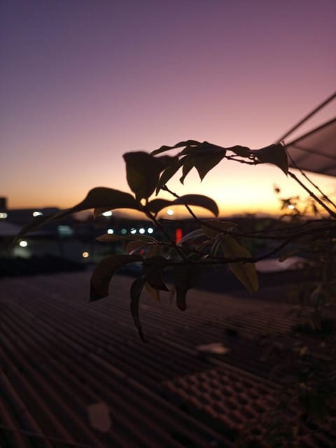 Arvore da Vida Pousada Hotel in Rio de Janeiro