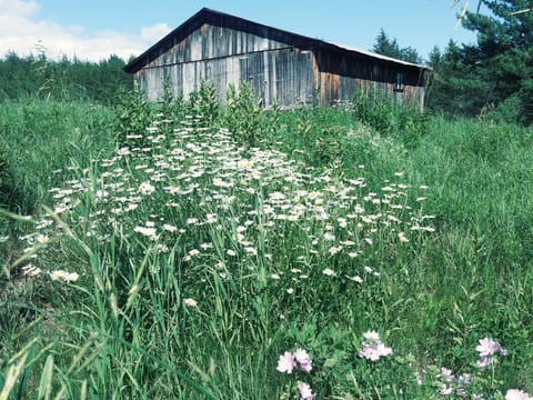 Gite Pousse Pioche Chambre d’hôte in La Malbaie