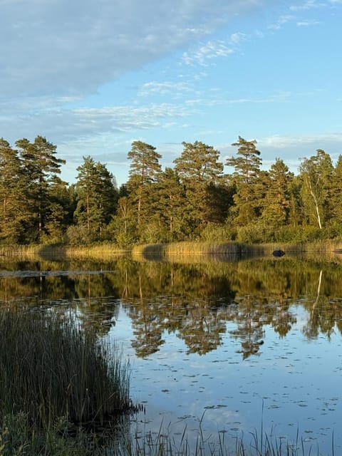 Garden, Lake view