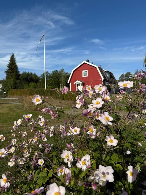 Natural landscape, Garden, Garden view