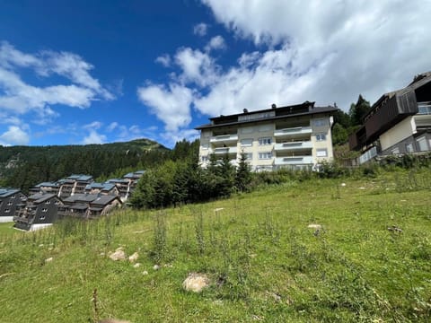 Property building, Natural landscape