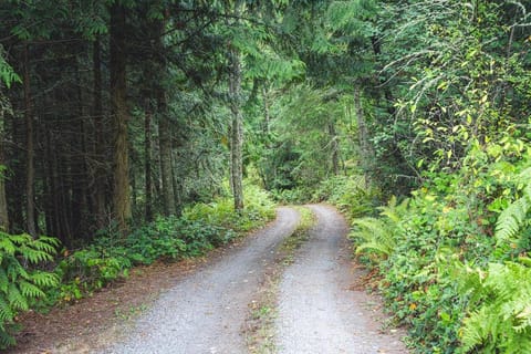 Fern House Rustic Modern Hiking Base Sequim House in Puget Sound