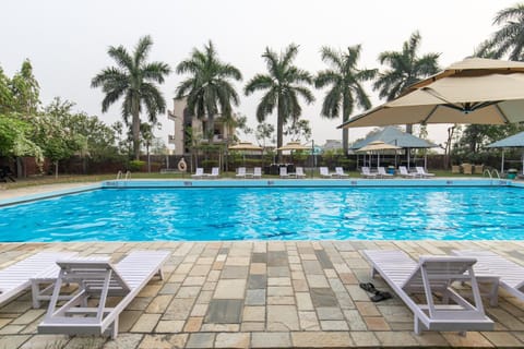 Day, Pool view, Swimming pool