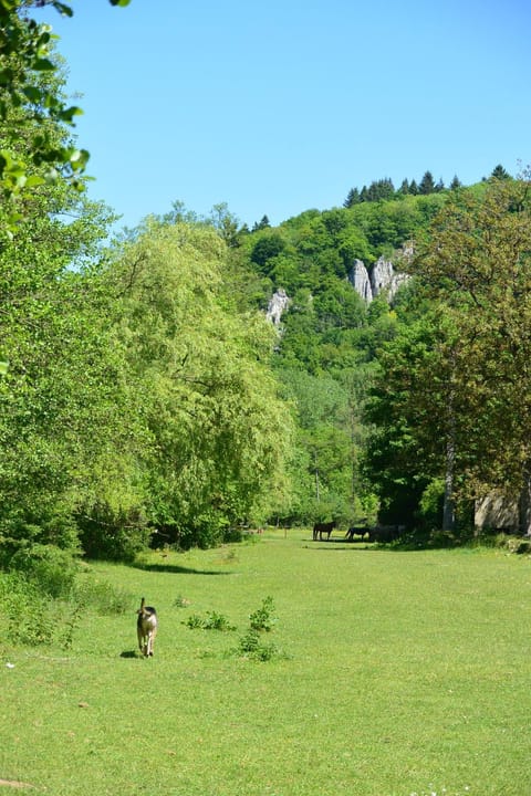 L'arche De Noé House in Dinant