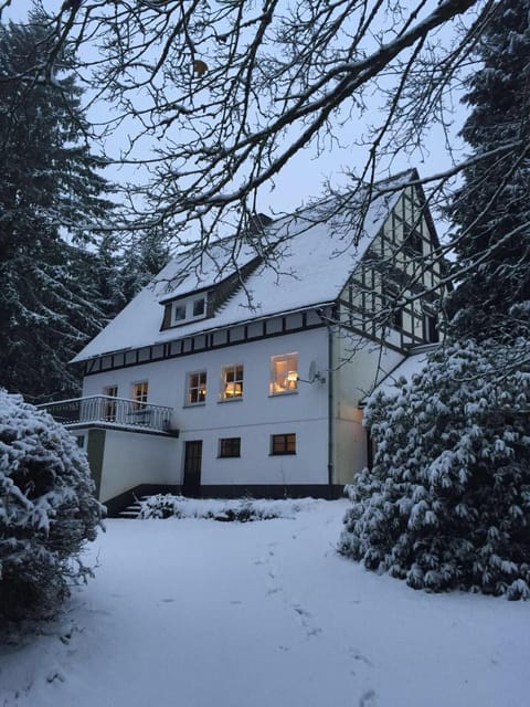 Haus Dupont Chalet in Winterberg