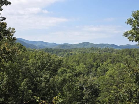 Family Times Cabin Cabin in Pigeon Forge