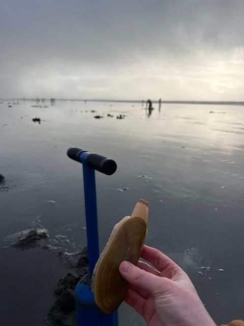 Cozy vibes, hot tub, EV charger, 1mi to beach House in Westport