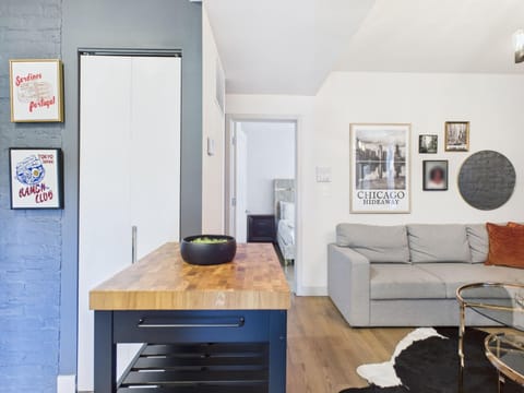 2BR with Soaking Tub Just 10 Min to Downtown Apartment in Chicago