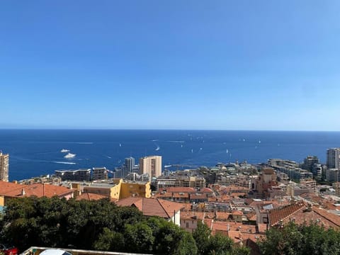 Elegant apartment - sublime view of Monaco Apartment in Avenue du Carnier