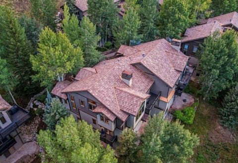 Spacious 4BR 4BA Mountain Retreat with Beaver Creek Shuttle House in Avon