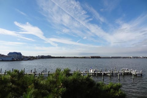 Thunder Island 7A Apartment in Ocean City