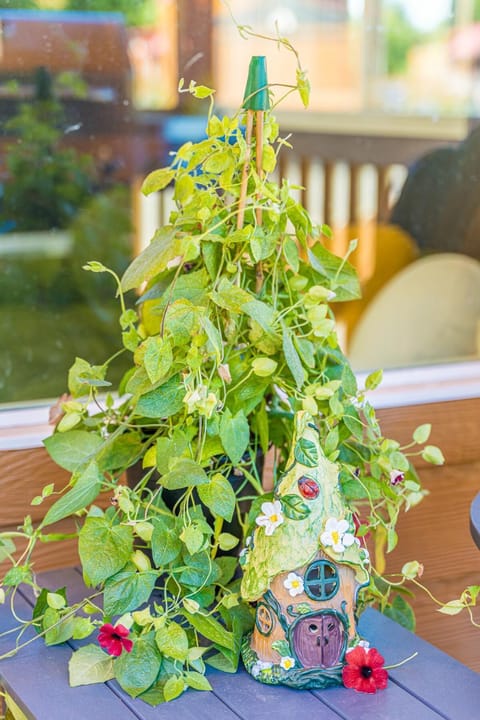 Enchanted Rainforest Tiny Home Retreat #25 House in Forks