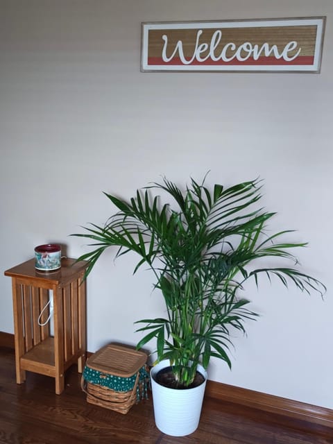 Pointer Palace House in Kenova