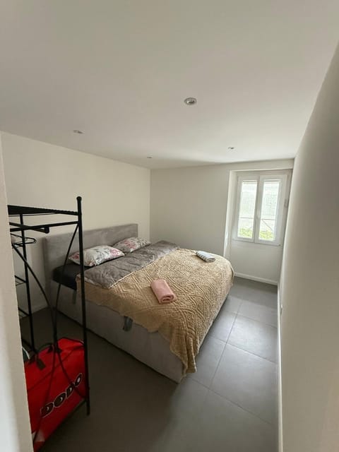 Ramo Apartment in Sion