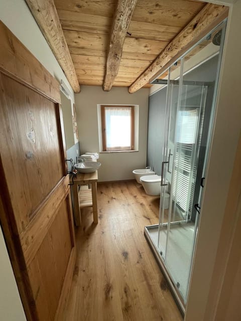 Shower, Bathroom, bidet, hair dryier, towels