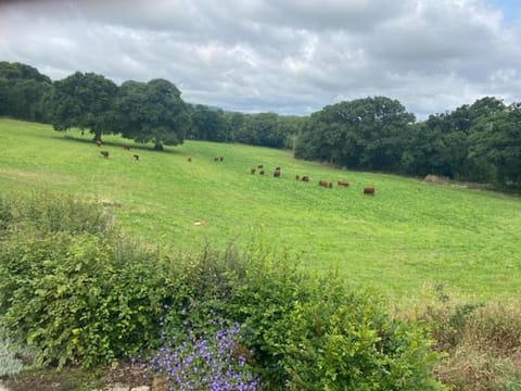 Holland Park Farm Bed and Breakfast in Teignbridge