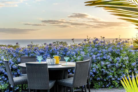 Ocean View Villa Sunset Pool King's Luxury experience House in Holualoa