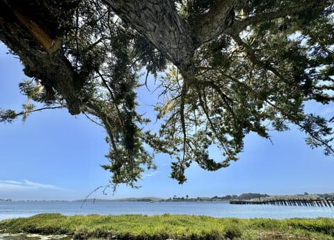 Natural landscape, Sea view