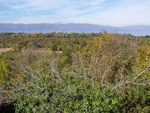 Natural landscape, View (from property/room)