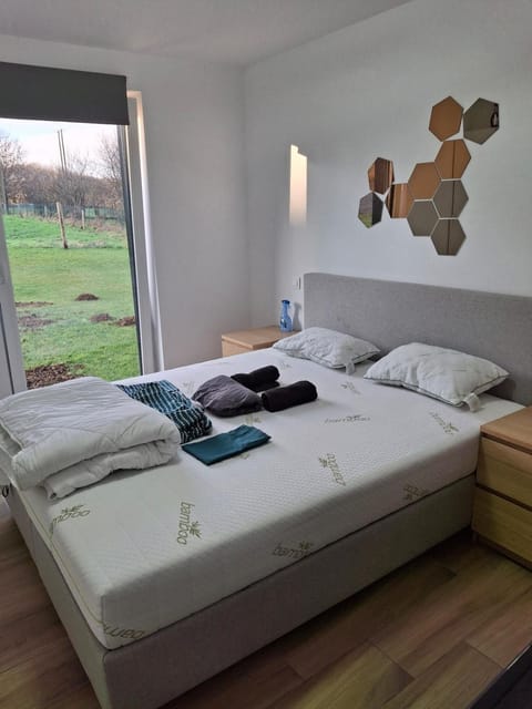 apartment 597 Apartment in Luxembourg District, Luxembourg