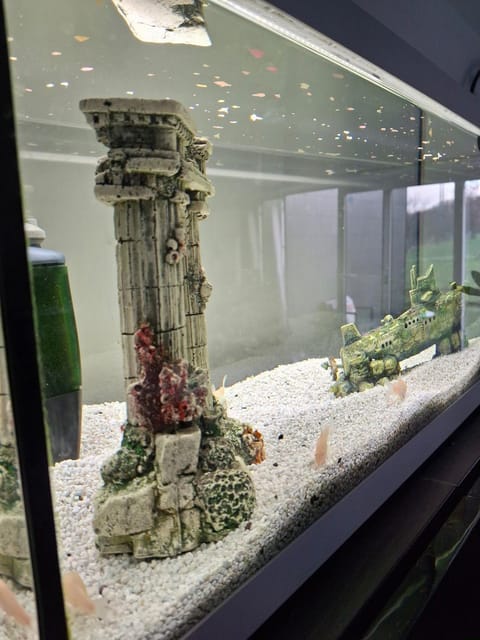 apartment 597 Apartment in Luxembourg District, Luxembourg