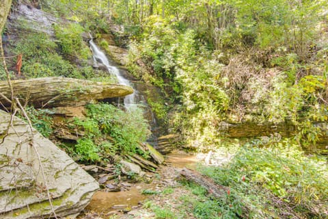 Amazing Waterfall! New Scenic Black Mtn Log Cabin Cabin in Buncombe County