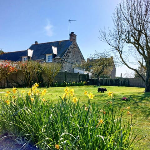 Garden, Garden view