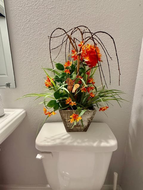 Lone Star Oasis House in Round Rock