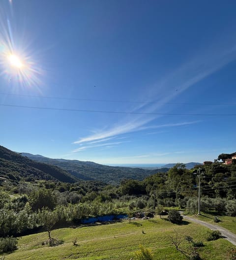 View (from property/room)