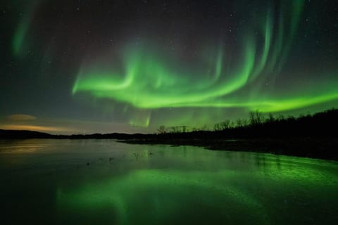 Night, Natural landscape, Lake view