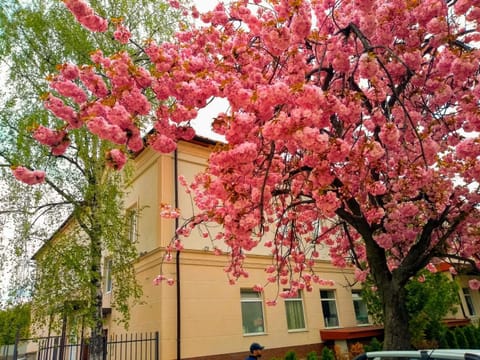 Facade/entrance, View (from property/room)