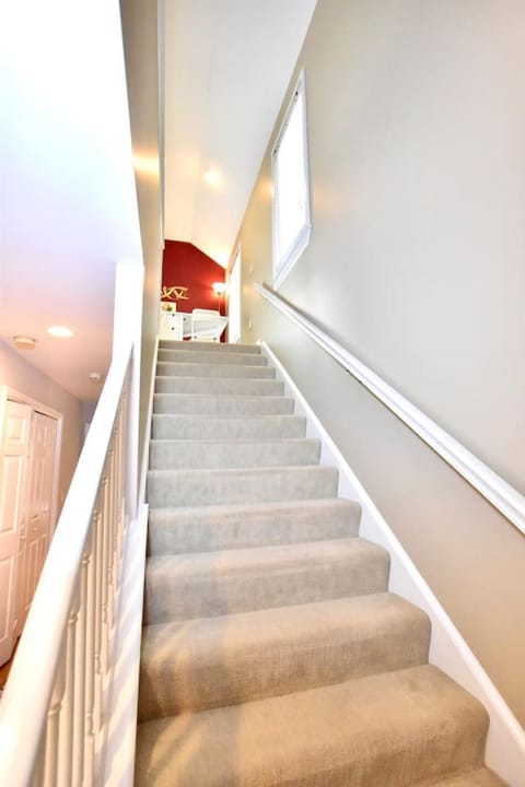 Large 4 bedroom Tremont House - Bonus apartment included! House in Cleveland Heights