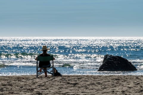 Day, People, Beach, Sea view