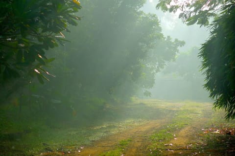 Clayfingers Art Cottage House in Kerala