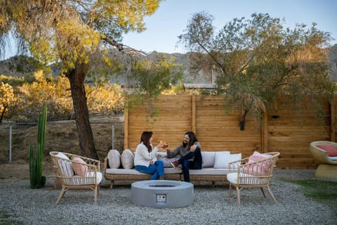 Desert Flora By The Cohost Company House in Joshua Tree