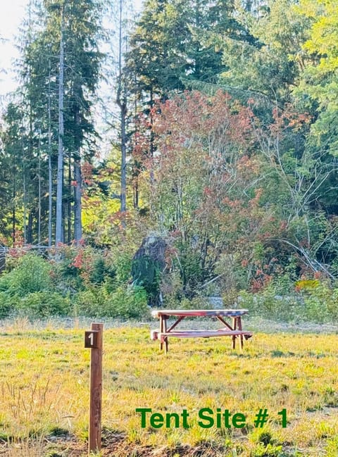 Campground near Olympic NP Campground/
RV Resort in Washington