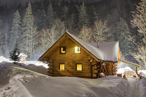 Property building, Night, Winter