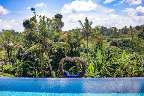 Garden, On site, Swimming pool