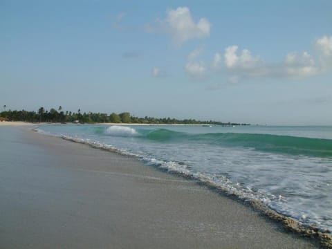 Kipepeo Beach and Village Hotel in City of Dar es Salaam