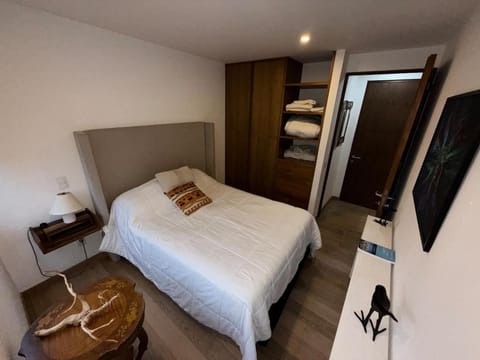 Executive Polanco Alberca Rooftop Apartment in Mexico City