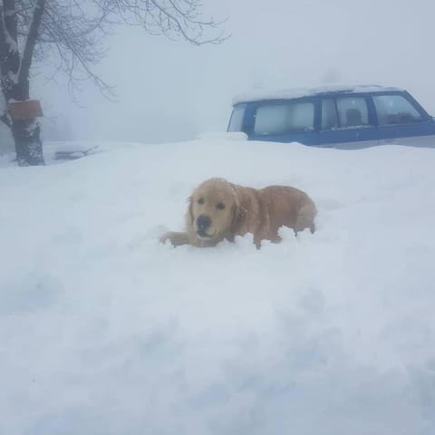 Chalet Lagorai Chalet in Trentino-South Tyrol