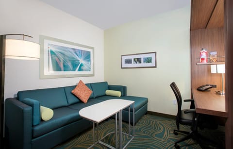 SpringHill Suites by Marriott Orlando at FLAMINGO CROSSINGS Town Center-Western Entrance Hôtel in Bay Lake