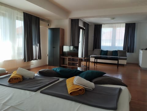 Filip Apartments Ohrid Apartment in Ohrid