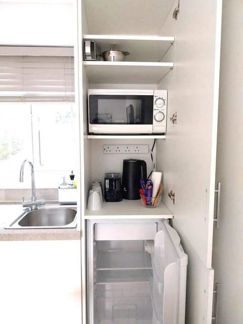 Coffee/tea facilities, Kitchen or kitchenette, toaster