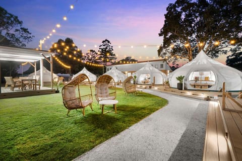 Patio, Night, Natural landscape