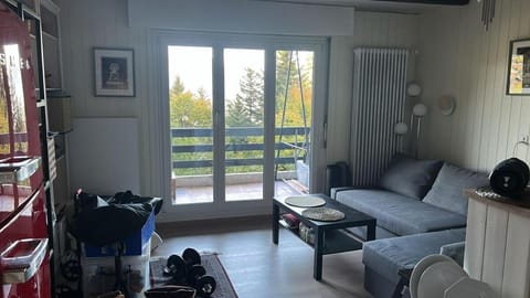 The Beauty of Torgon Apartment in Haute-Savoie