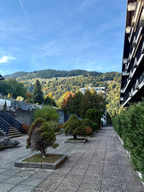 The Beauty of Torgon Apartment in Haute-Savoie