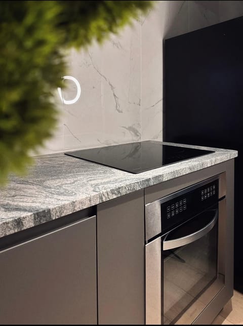 Private Parking KING BED Urban Nest Apartment in Pittsburgh