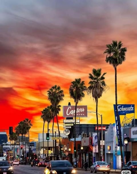 Cozy Private Retreat in DTLA by Dodger Stadium Apartment in Echo Park